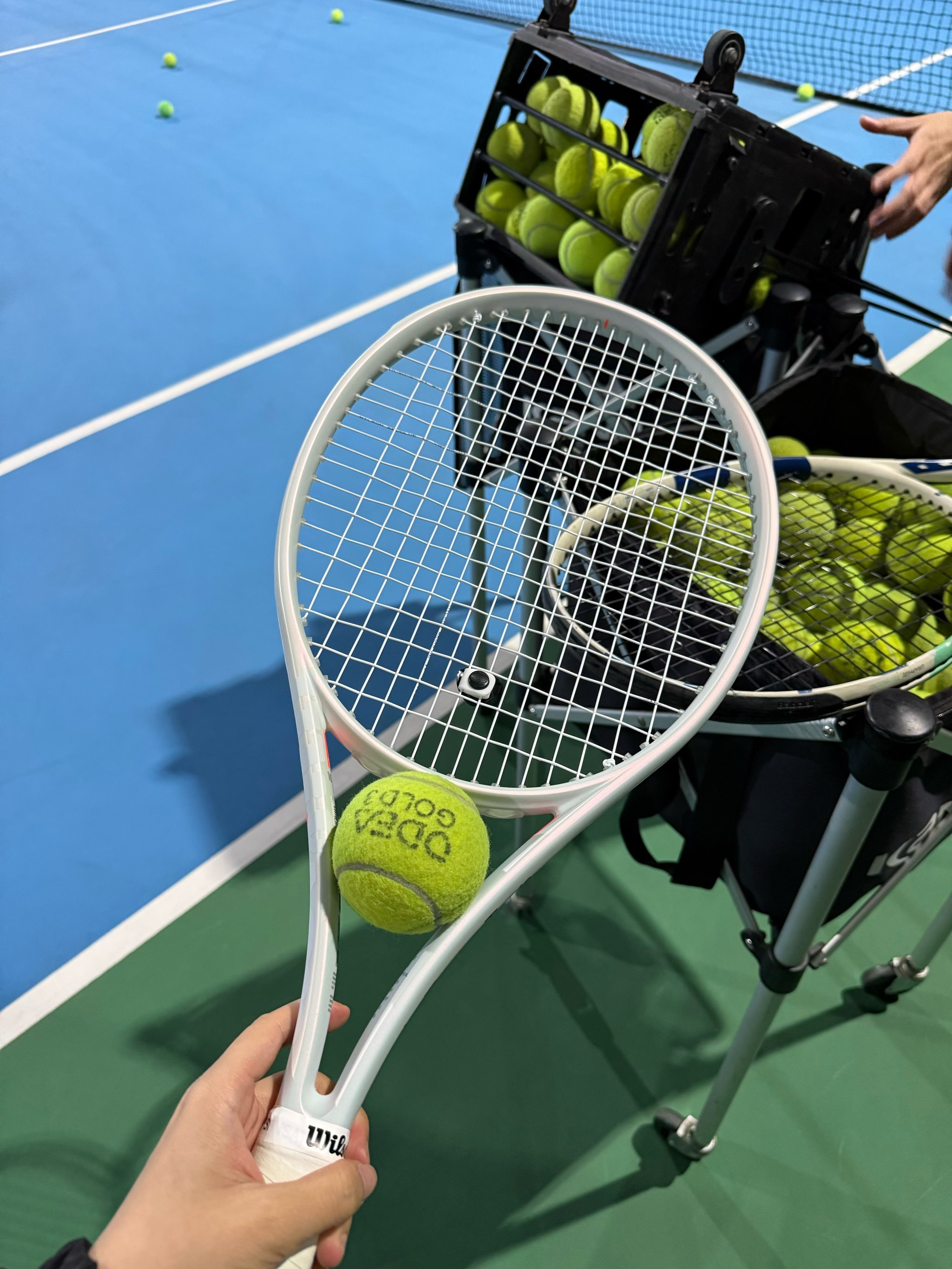 锋中占据一 锋中占据一