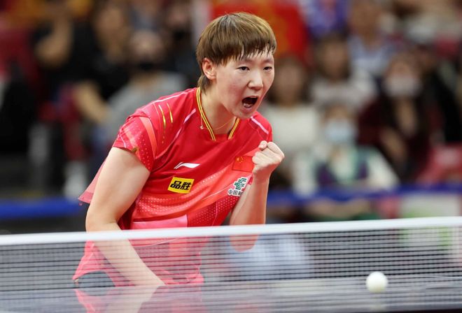 结论式判断 结论式判断